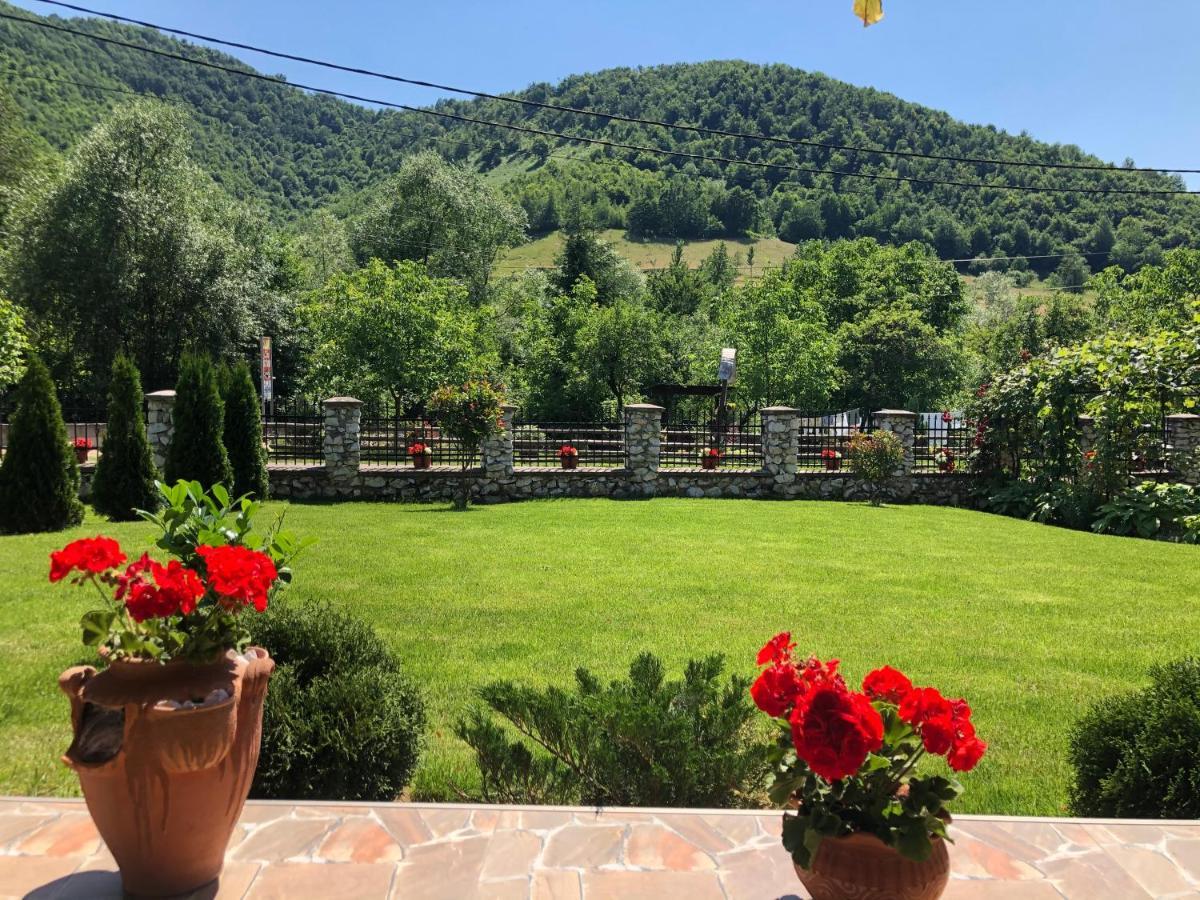 Casa Antonia Ξενοδοχείο Chiscau Εξωτερικό φωτογραφία