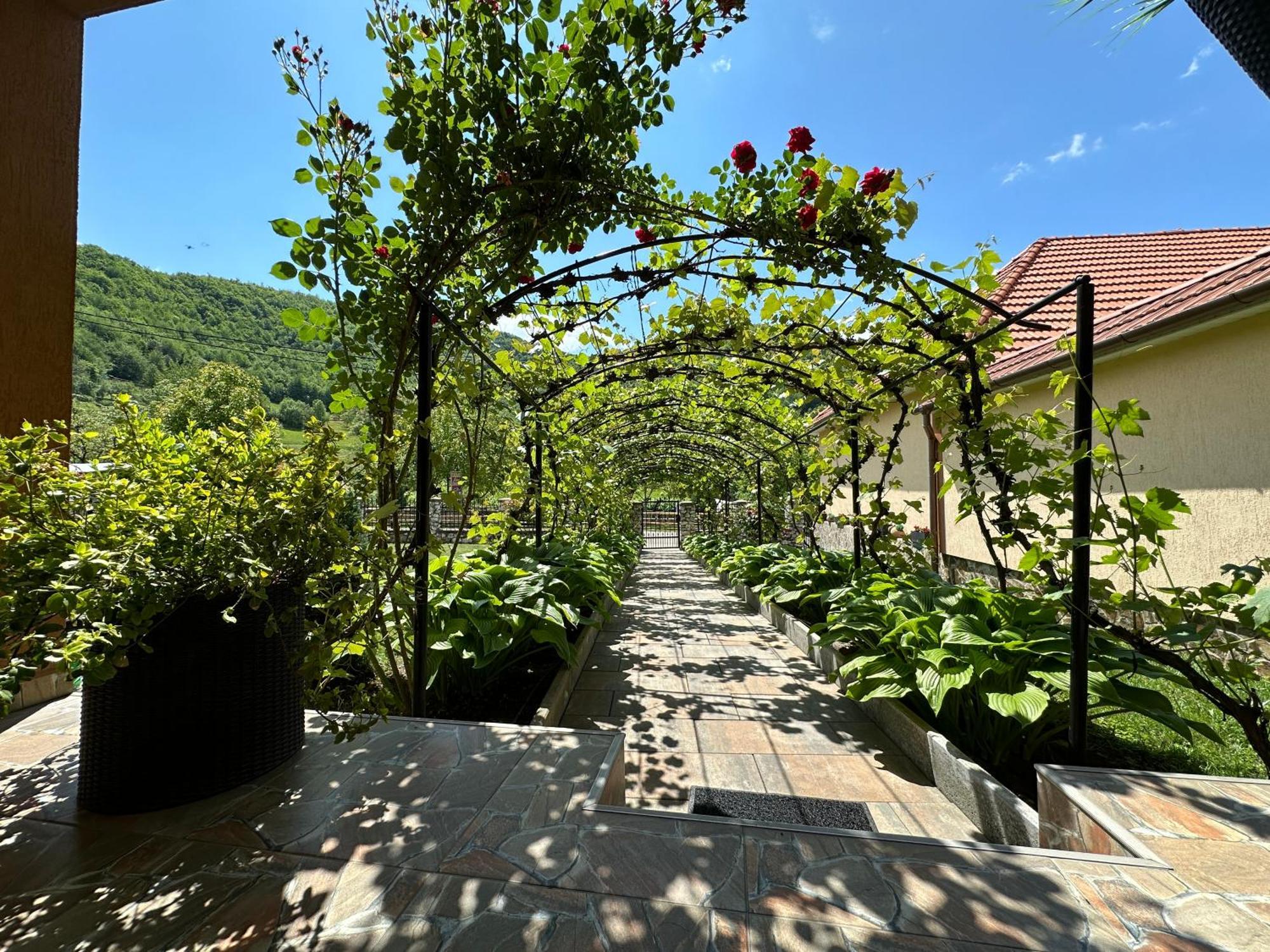 Casa Antonia Ξενοδοχείο Chiscau Εξωτερικό φωτογραφία